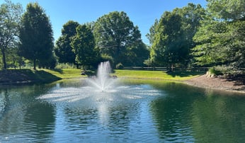 Fountain in pond