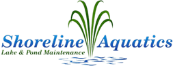 Logo-1-2